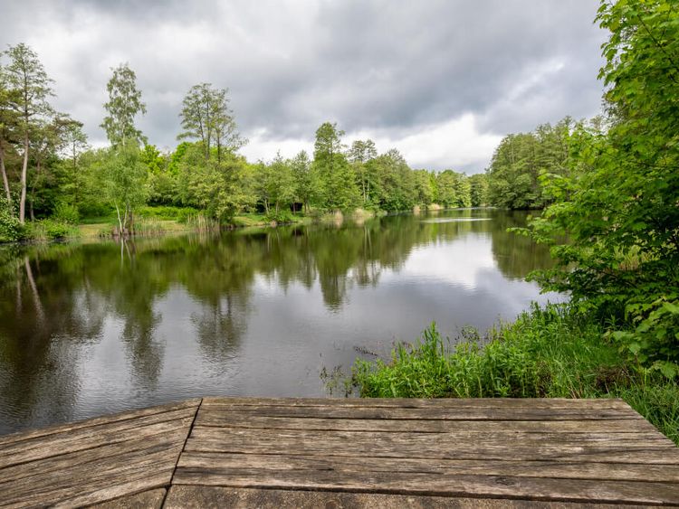 Steg am See nahe der Seepark Klinik Bad Bodenteich