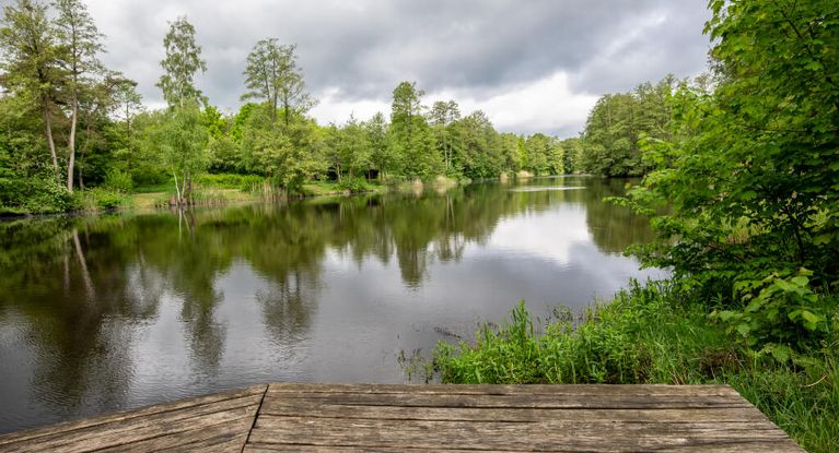 Steg am See nahe der Seepark Klinik Bad Bodenteich