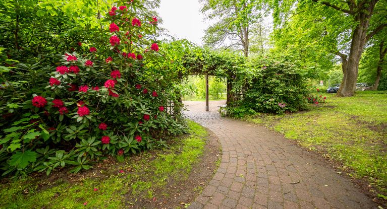 Rosen Park der MEDICLIN Seepark Klinik in Bad Bodenteich
