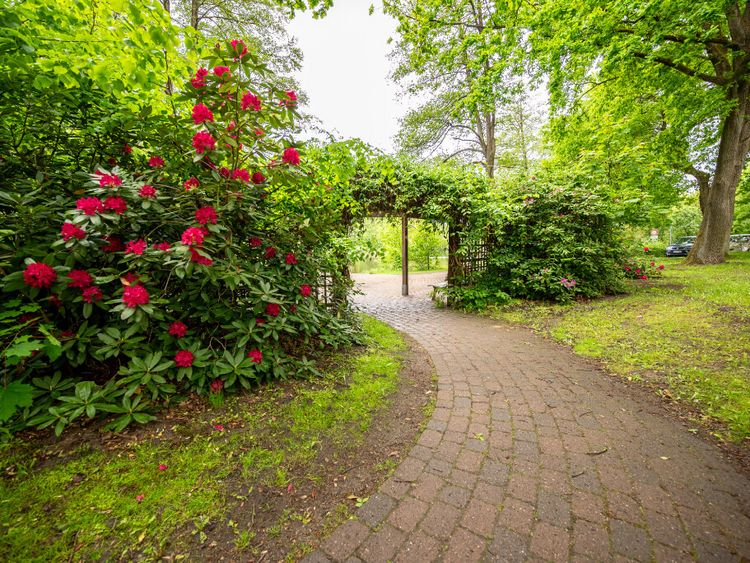 Rosen Park der MEDICLIN Seepark Klinik in Bad Bodenteich