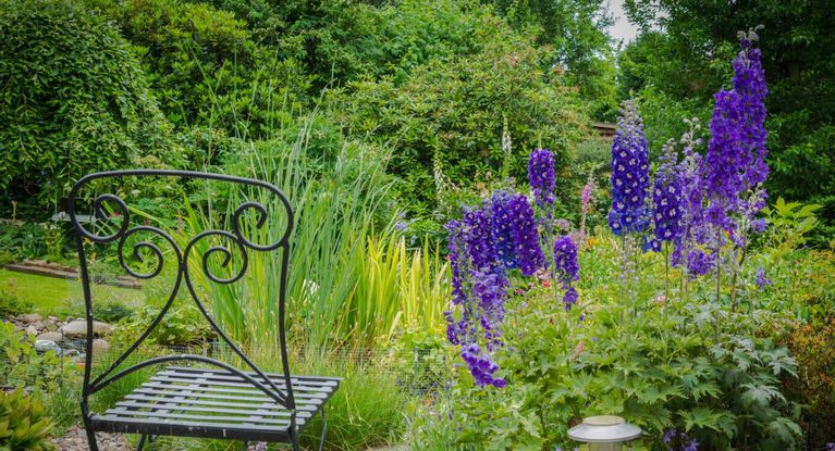 Klappstuhl im Garten vor blühendem Rittersporn