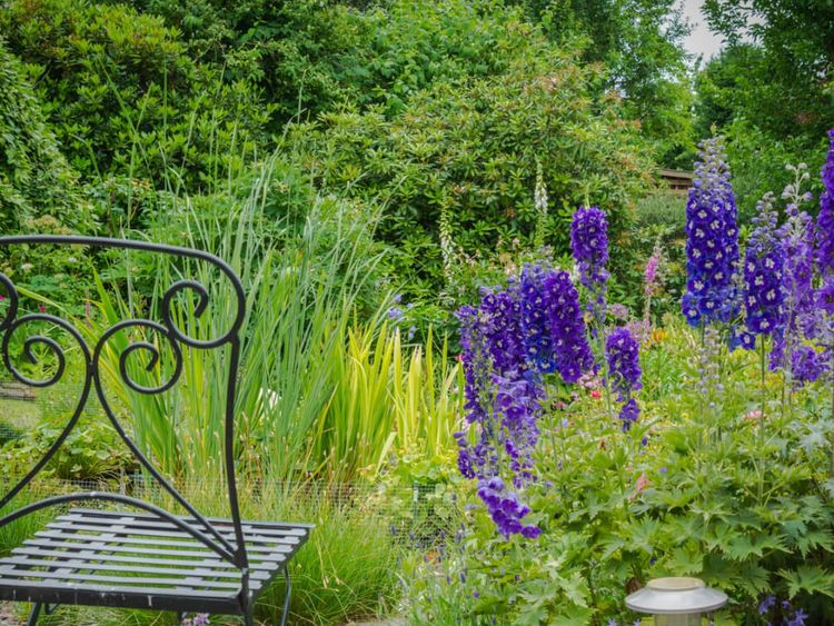 Klappstuhl im Garten vor blühendem Rittersporn